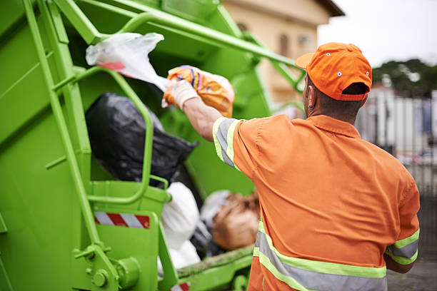 Best Shed Removal  in Timberville, VA